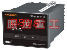 溫度表、數(shù)字顯示儀、濕度表