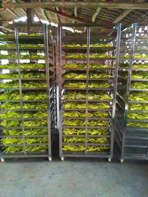 黃花菜烘干機、黃花菜烘干設(shè)備、黃花菜干燥機、黃花菜干燥設(shè)備、